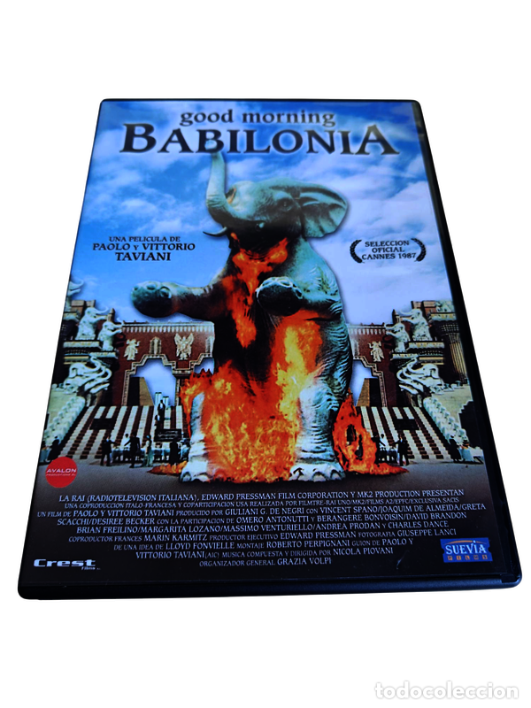 Cinema: CND47 Good morning Babilonia DVD COMO NUEVO