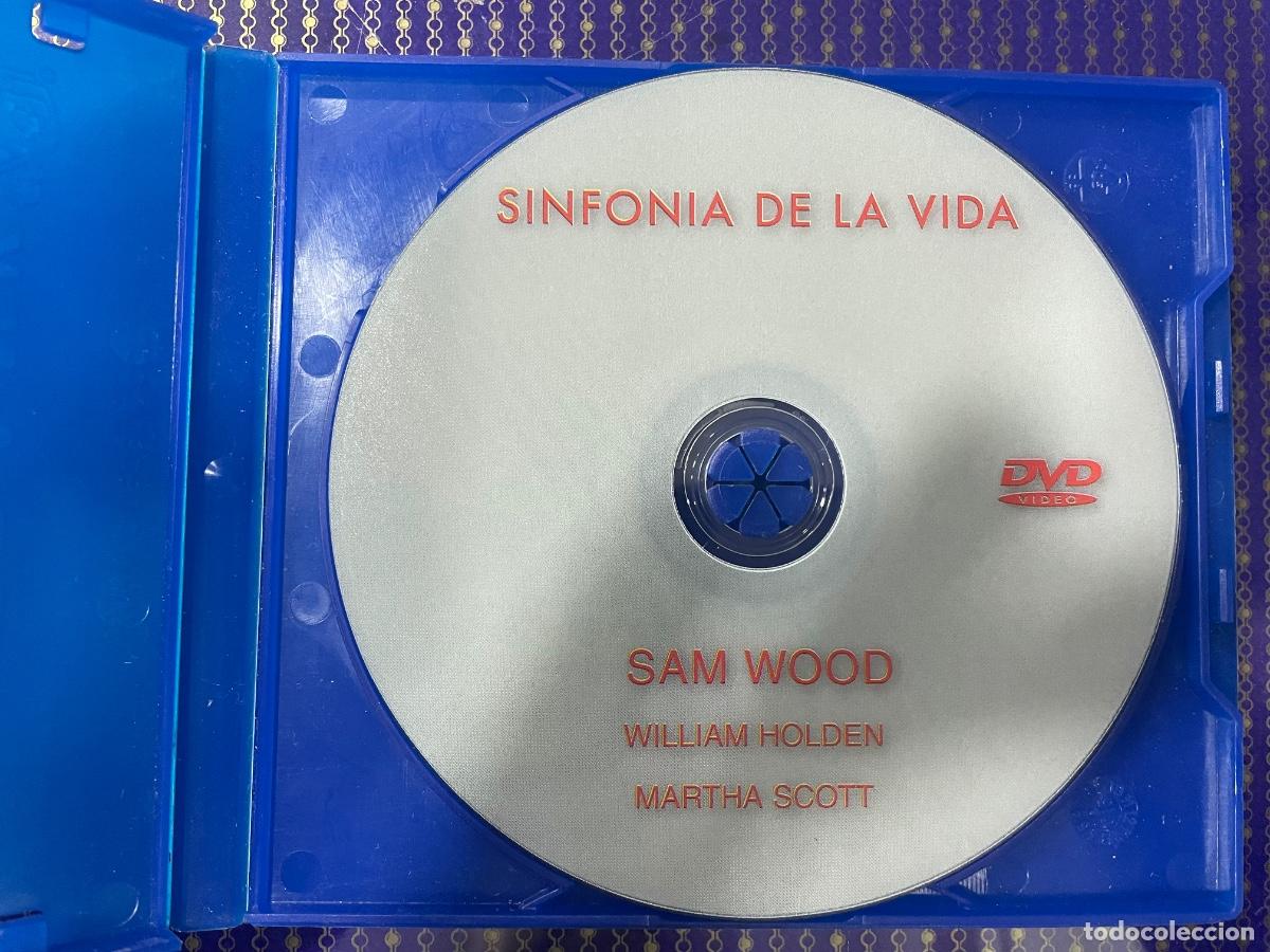 Cinema: Shaolin chamber (Solo disco original DVD)