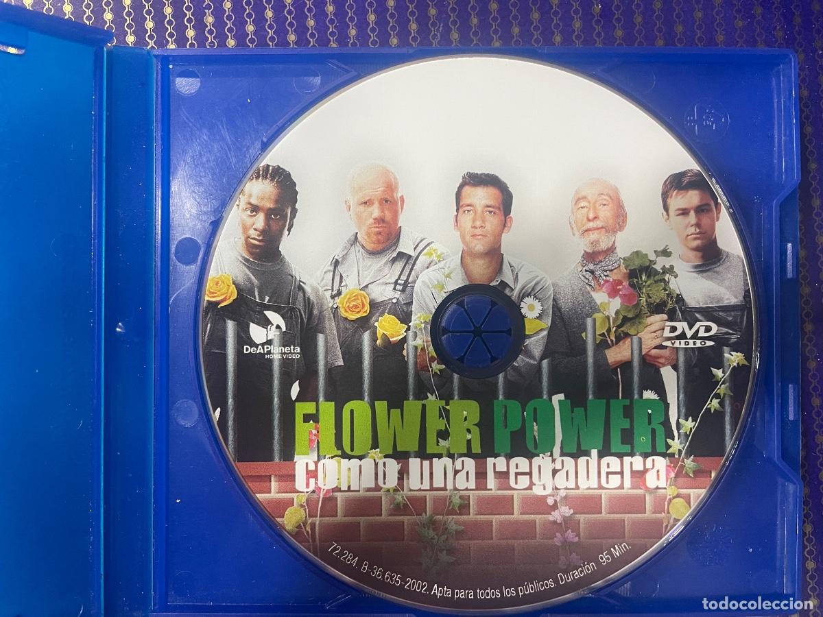 Cinema: Flowers Powers (Solo disco DVD original)