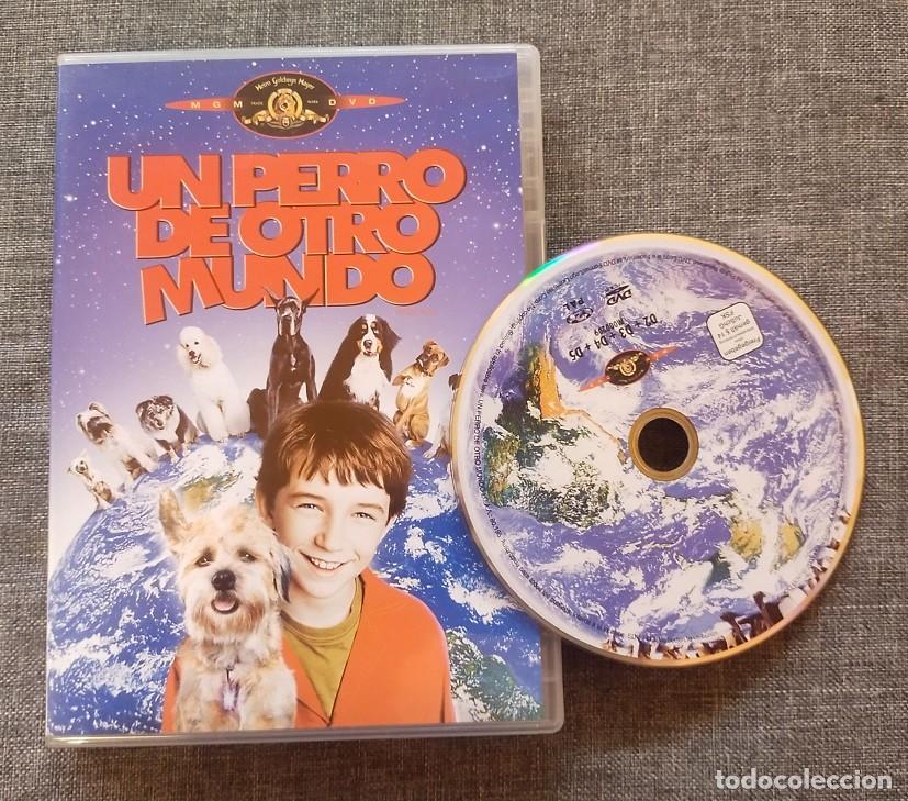 Cine: UN PERRO DE OTRO MUNDO PEL&Iacute;CULA DVD VIDEO CINE PAL METRO GOLDWYN MAYER MGM 2003 ESPA&Ntilde;OL CASTELLANO