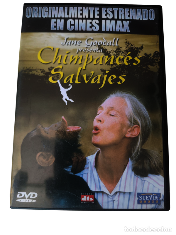 Cinema: S603 Chimpances salvajes DVD SEGUNDA MANO