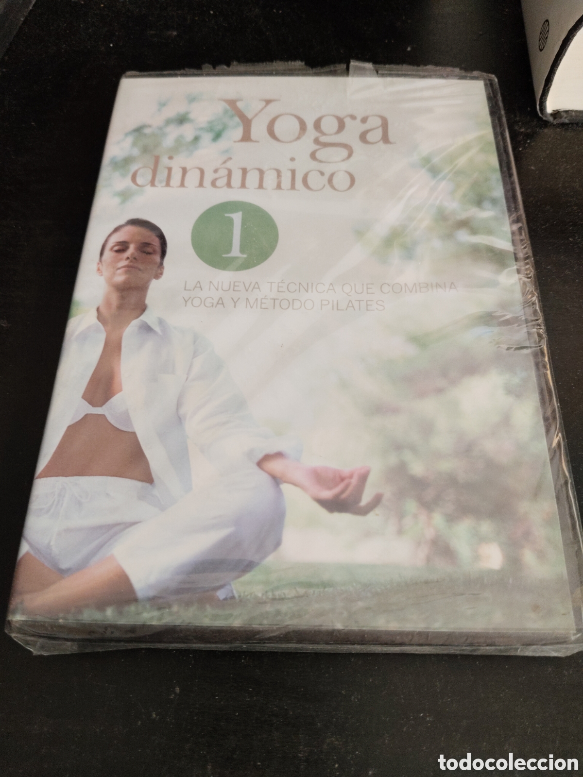Cine: Yoga Din&aacute;mico 1. DVD PRECINTADO