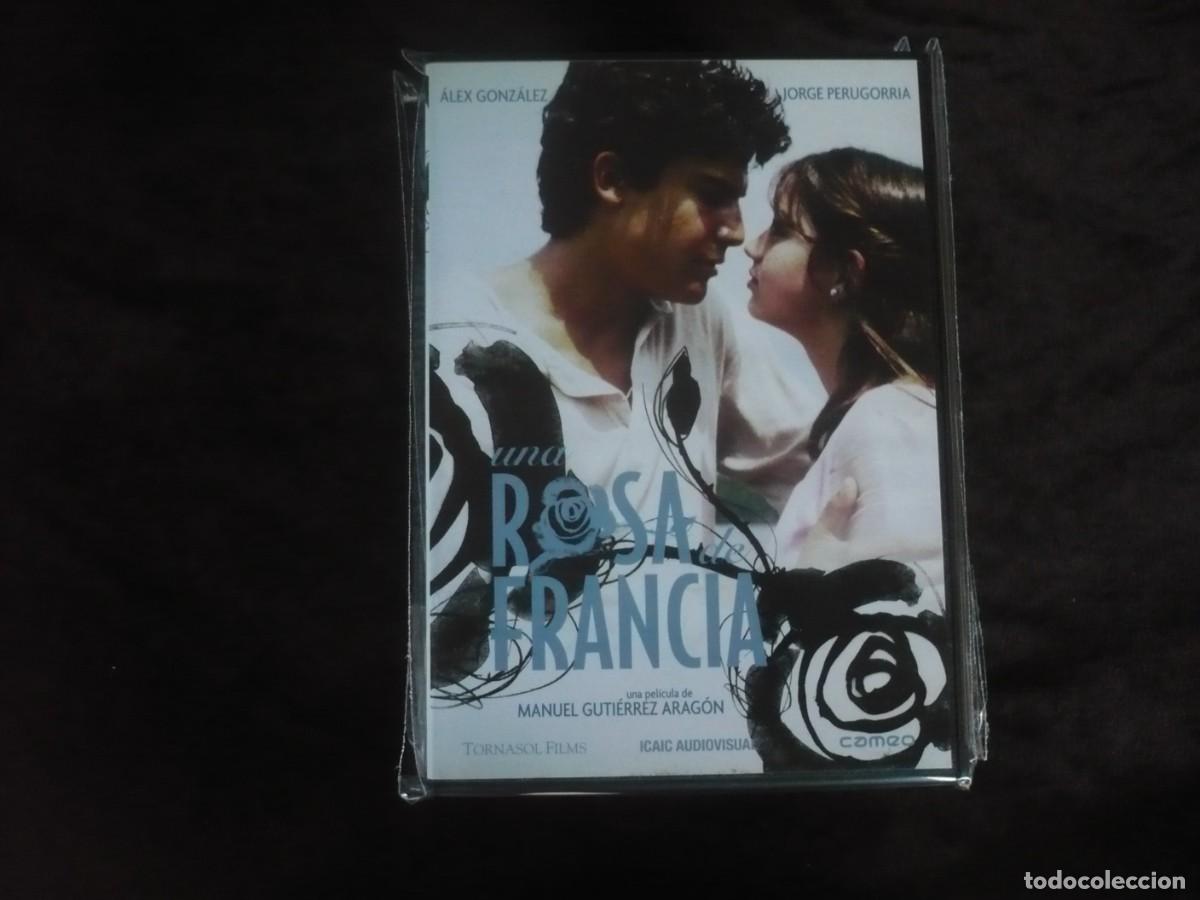 Kino: una rosa de francia - dvd nuevo precintado