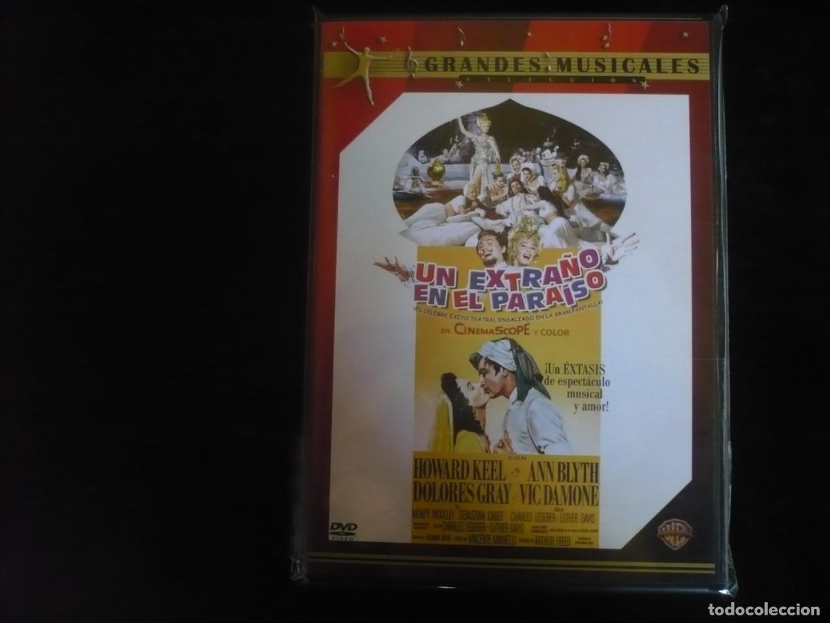 Kino: un extra&ntilde;o en el paraiso - dvd nuevo precintado