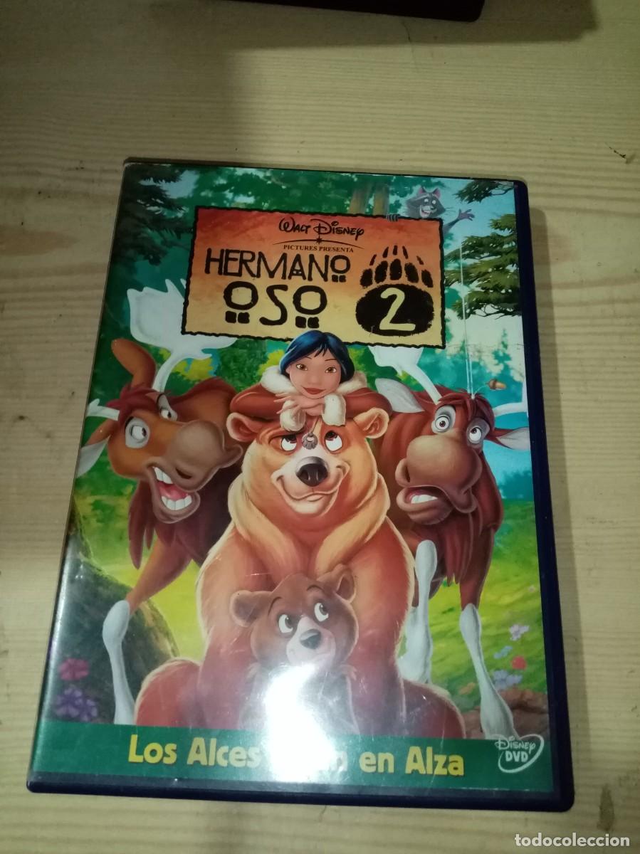 Cinema: HERMANO OSO 2. C11DVD