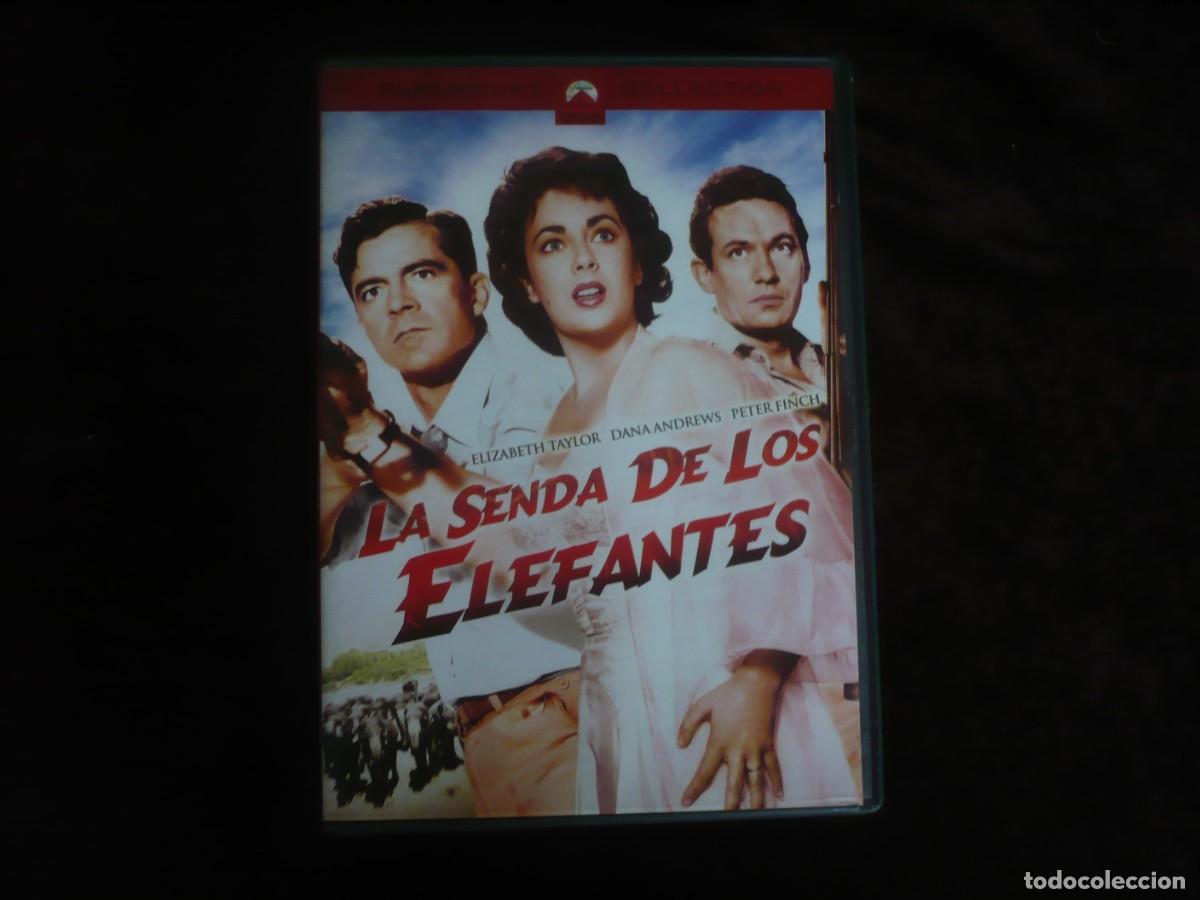 Cine: la senda de los elefantes - elizabeth taylor - dvd como nuevo