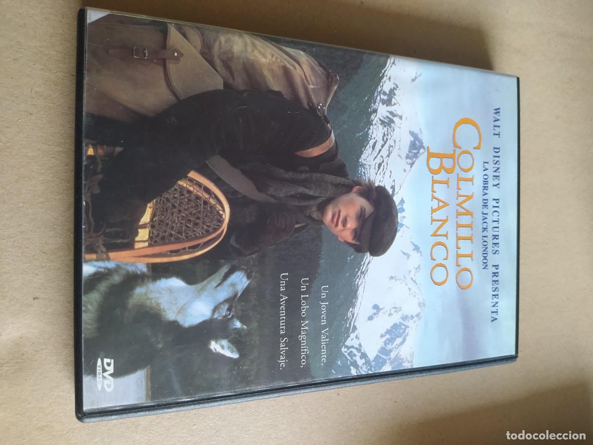 Cine: DVD - colmillo blanco ( Ethan hawke ) - Foto 1