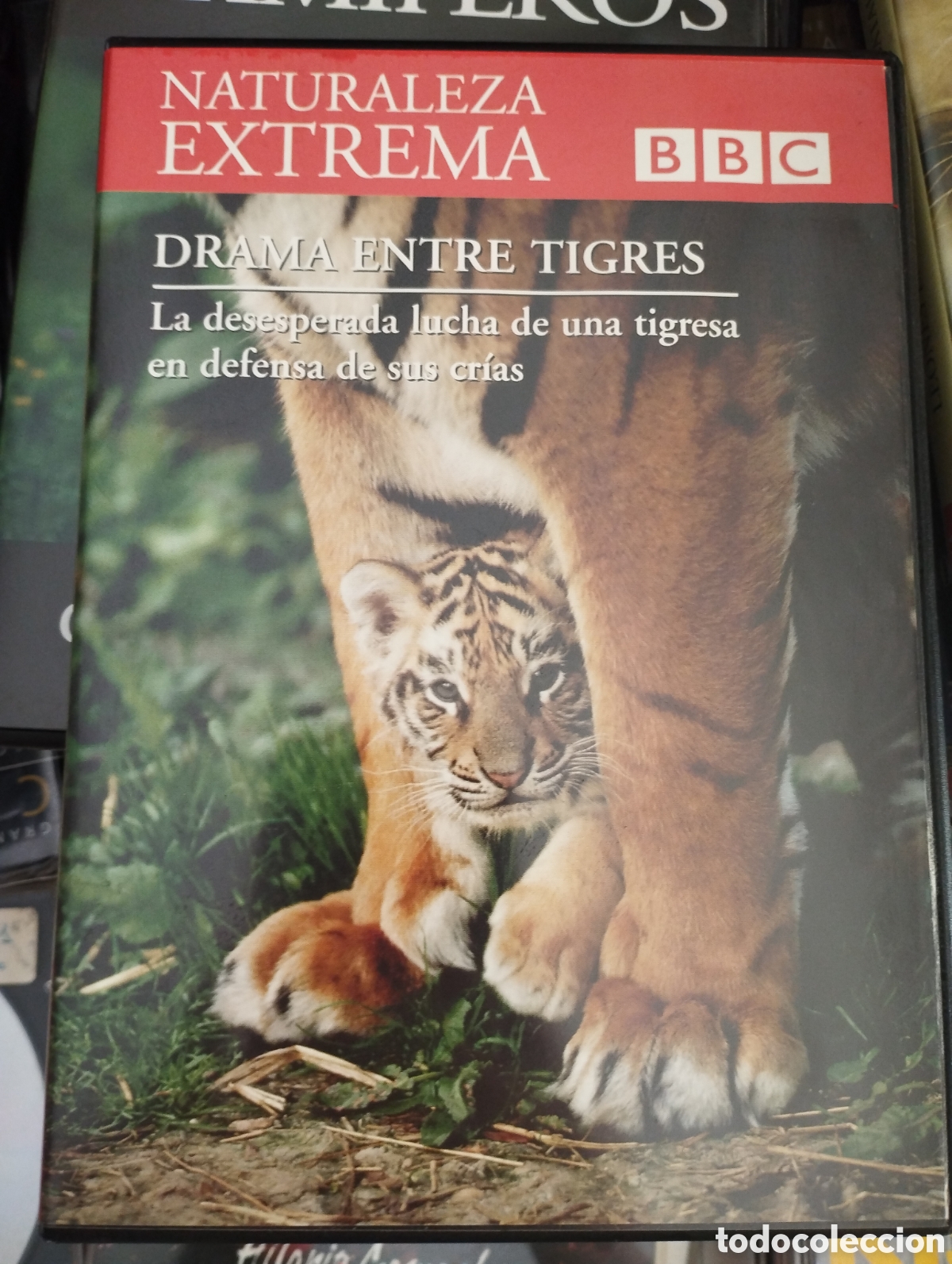 Cin&eacute;ma: Naturaleza extrema. BBC. Drama entre Tigres. DVD. 5