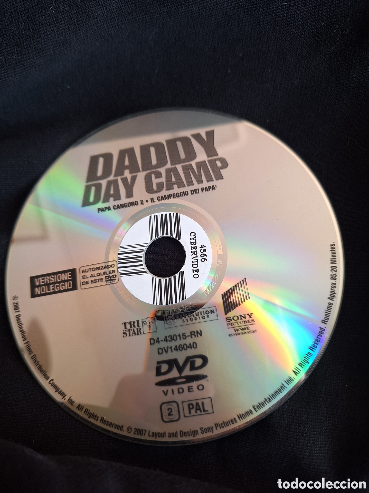 Cinema: SD654 papa canguro 2 SOLO DISCO DVD