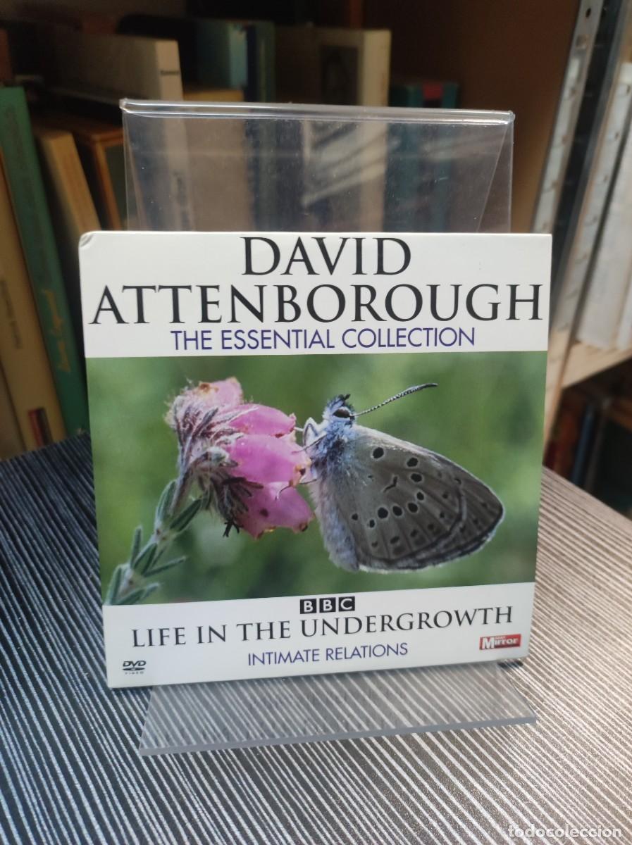 Cinema: DAVID ATTENBOROUGH THE ESSENTIAL COLLECTION BBC LIFE IN THE UNDERGROWTH INTIMATE RELATIONS