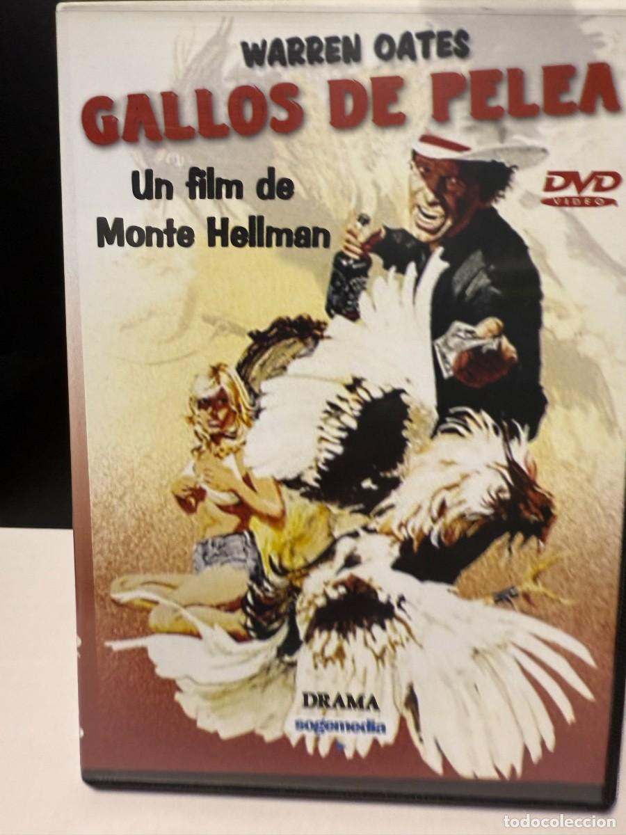Cinema: Gallos De Pelea (DVD)