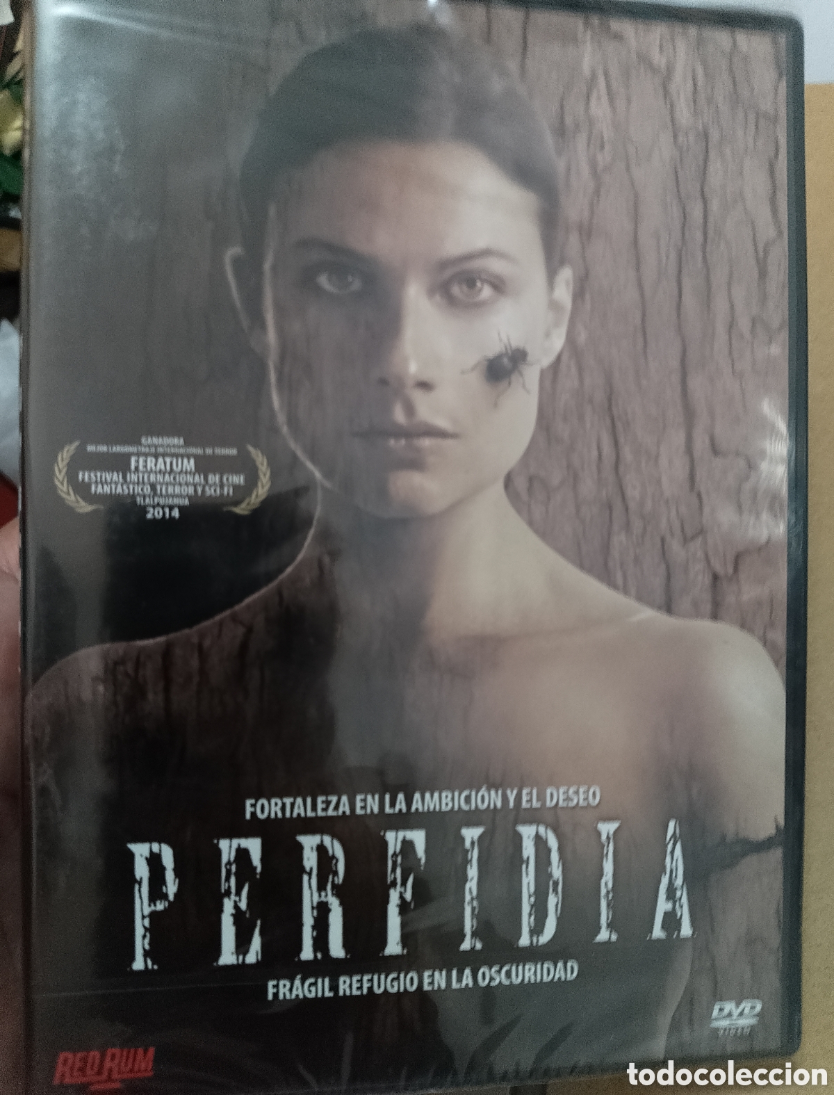 Kino: DVD Perfidia - nueva+