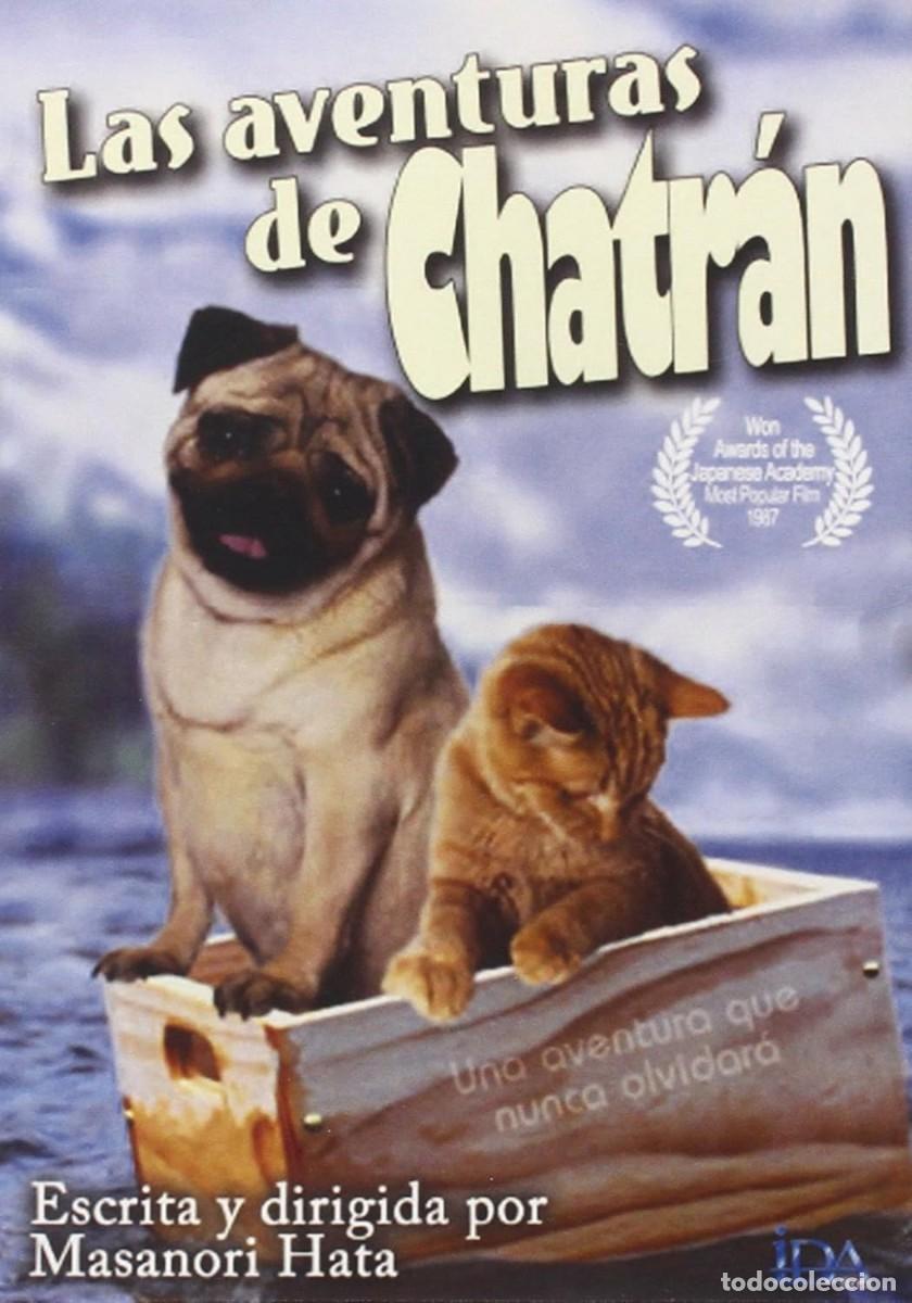 Cine: LAS AVENTURAS DE CHATRAN