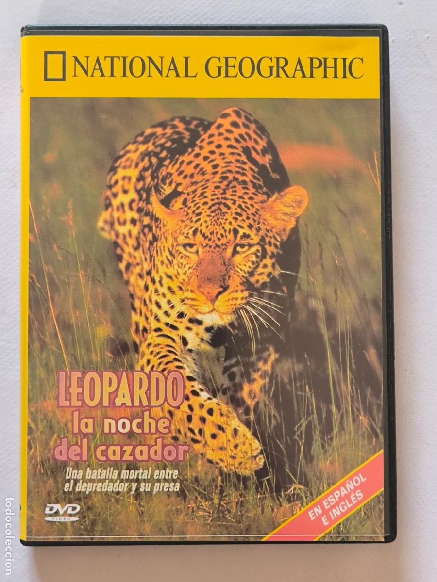Cine: DVD LEOPARDO, LA NOCHE DEL CAZADOR - NATIONAL GEOGRAPHIC (278)