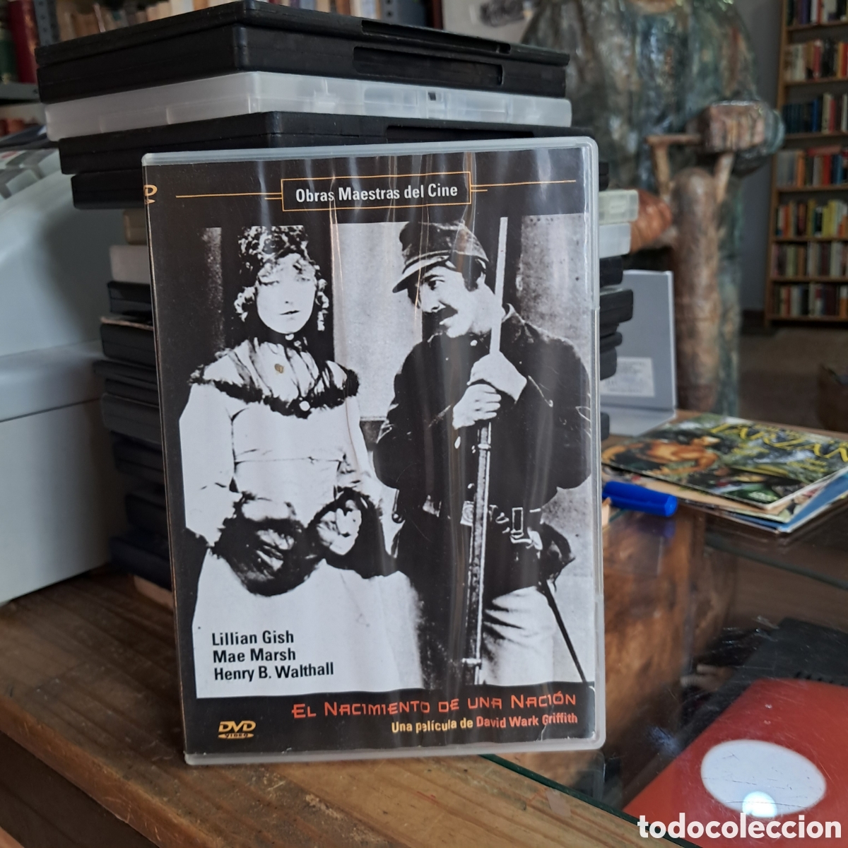 Cinema: El nacimiento de una nacion, Lillian Gish