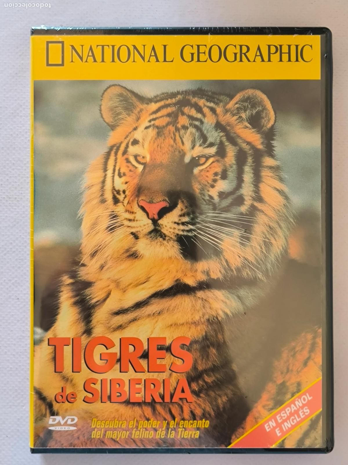 Cinema: DVD TIGRES DE SIBERIA - NATIONAL GEOGRAPHIC - NUEVO, PRECINTADO (K3)