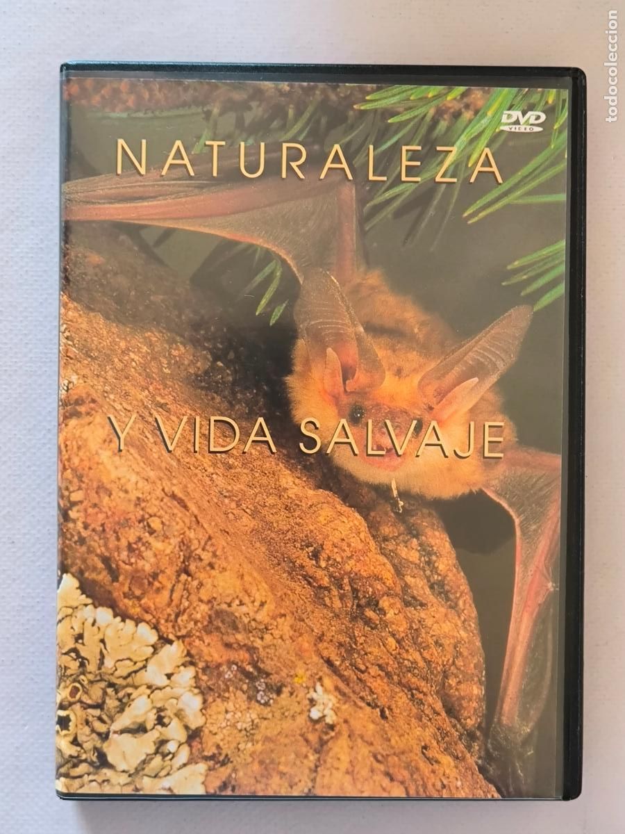 Cinema: NATURALEZA Y VIDA SALVAJE VOL. 16 - MURCIELAGOS / LOS LEONES DEL SERENGETI - SALVAT (K3)