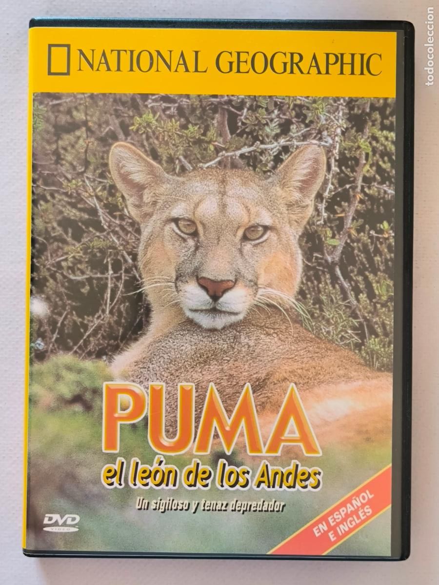 Cinema: DVD PUMA, EL LEON DE LOS ANDES - NATIONAL GEOGRAPHIC (K3)