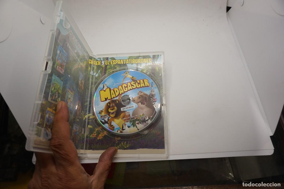 Cine: 2B2/ MADAGASCAR - DREAM WORKS - Foto 2