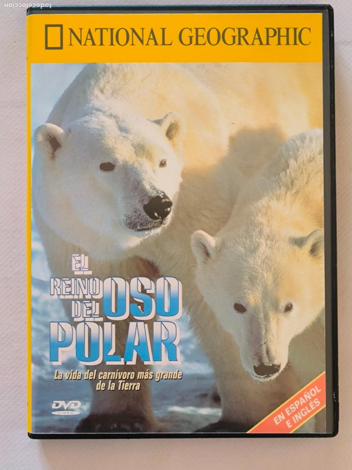 Cinema: DVD DEL REINO DEL OSO POLAR - NATIONAL GEOGRAPHIC (S3)