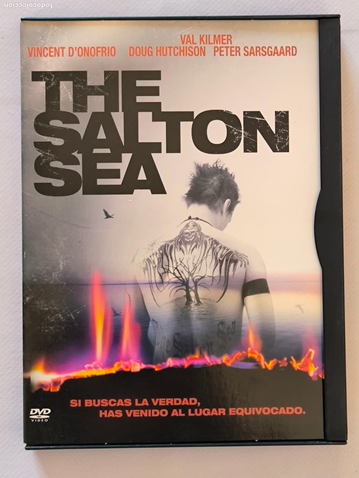 Cinema: DVD THE SALTON SEA - VINCENT D'ONOFRIO (S3)