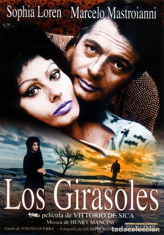 Cine: LOS GIRASOLES ....... - Foto 1