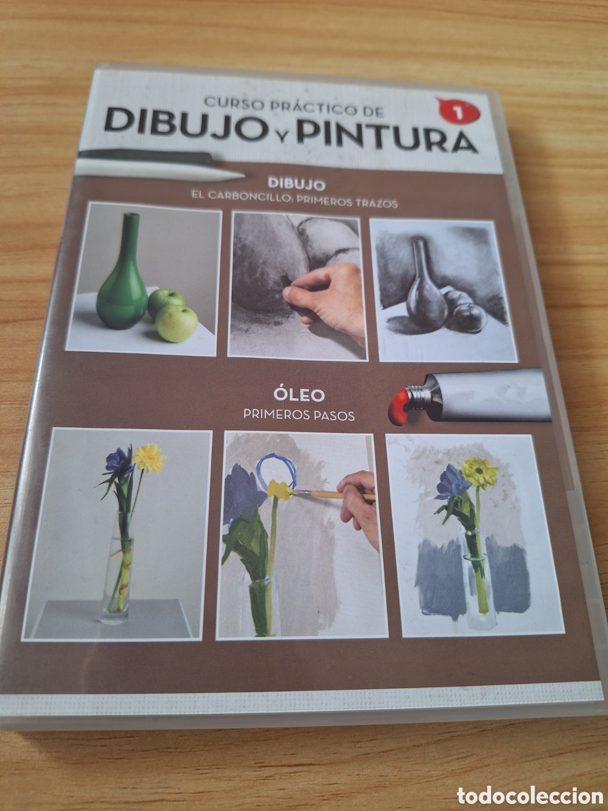Kino: S750 dibujo y pintura vol.1 DVD SEGUNDAMANO