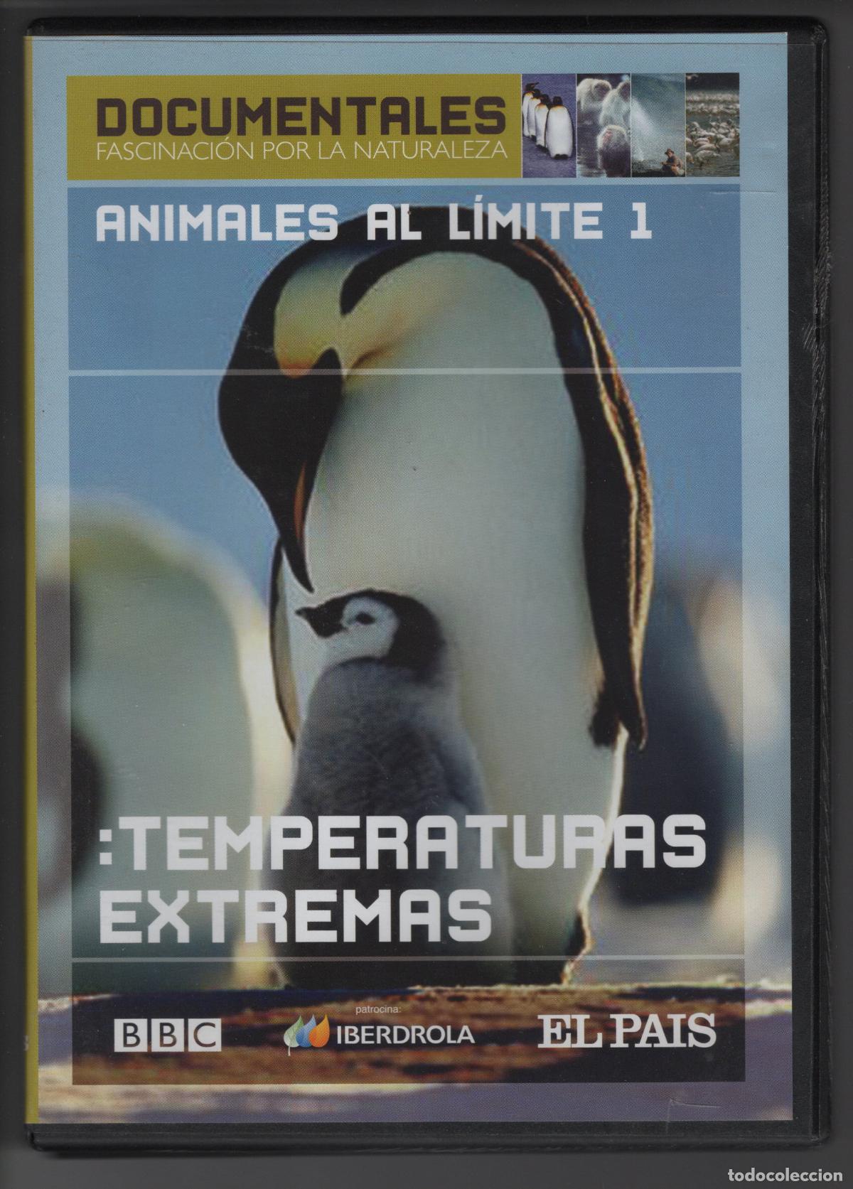 Kino: ANIMALES AL L&Iacute;MITE: TEMPERATURAS EXTREMAS - DVD