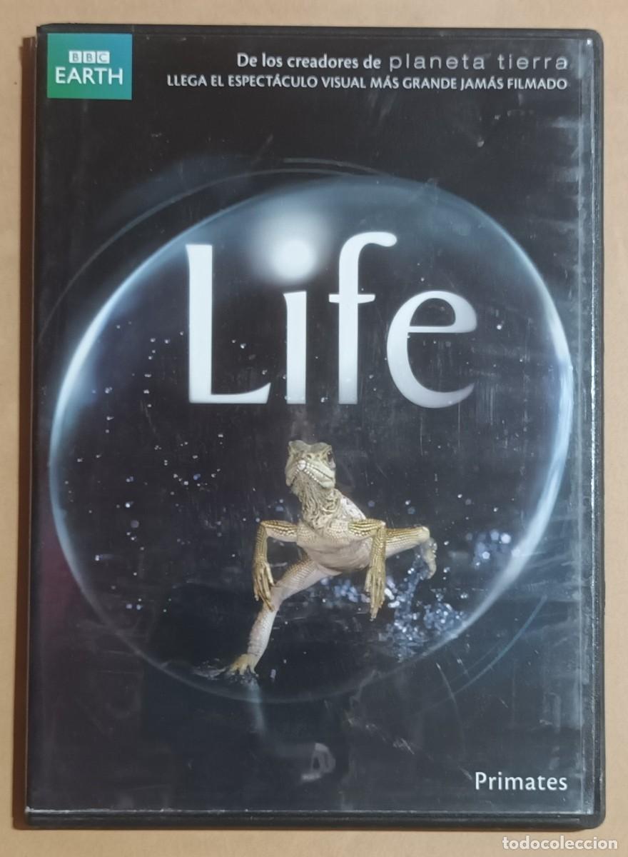 Kino: DVD - PRIMATES - LIFE - BBC EARTH
