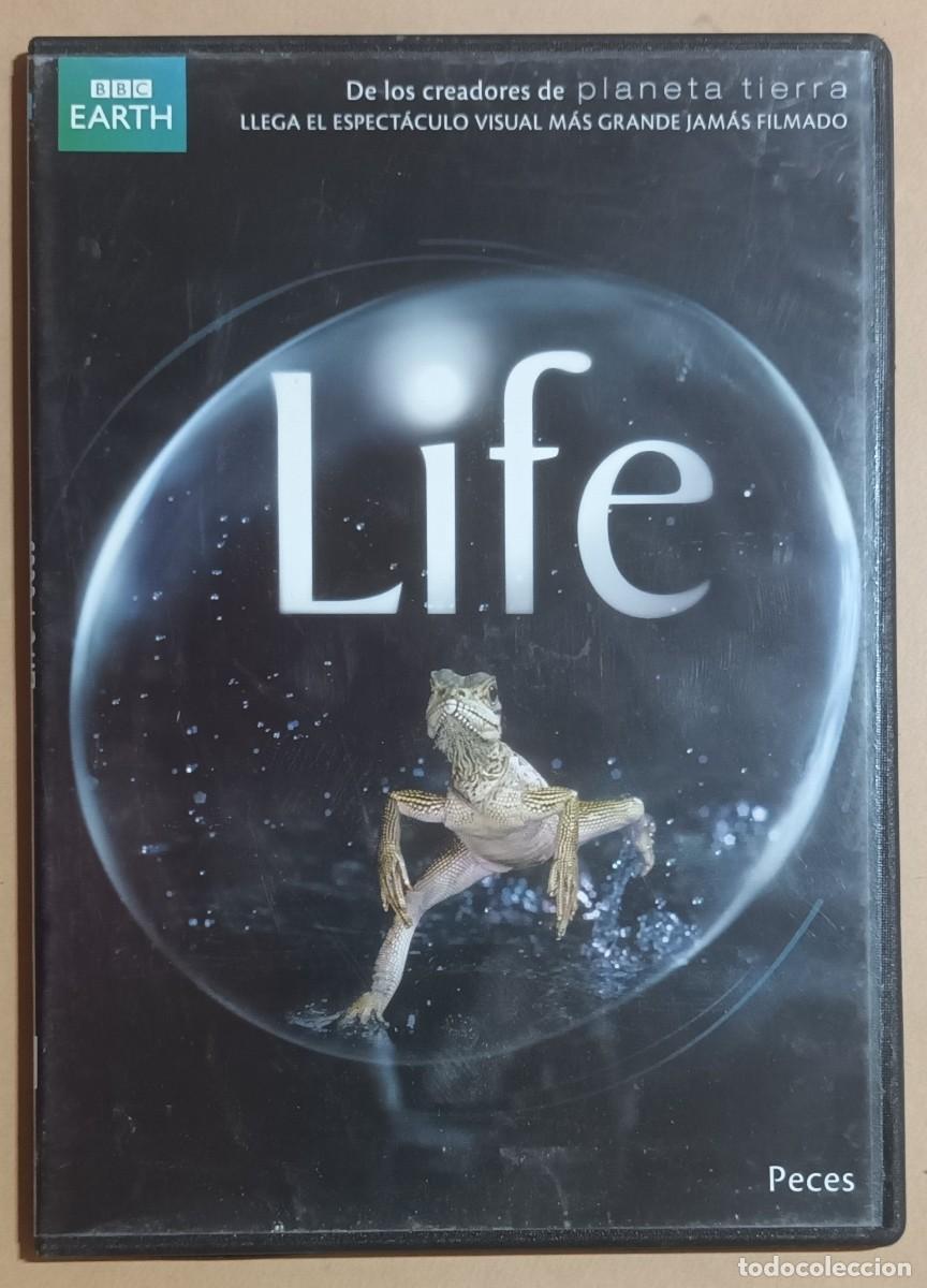 Cine: DVD - PECES - LIFE - BBC EARTH