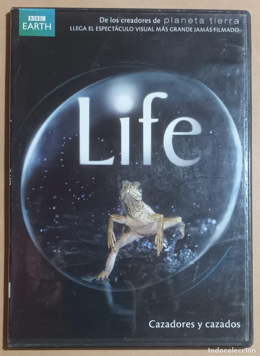 Kino: DVD - CAZADORES Y CAZADOS - LIFE - BBC EARTH