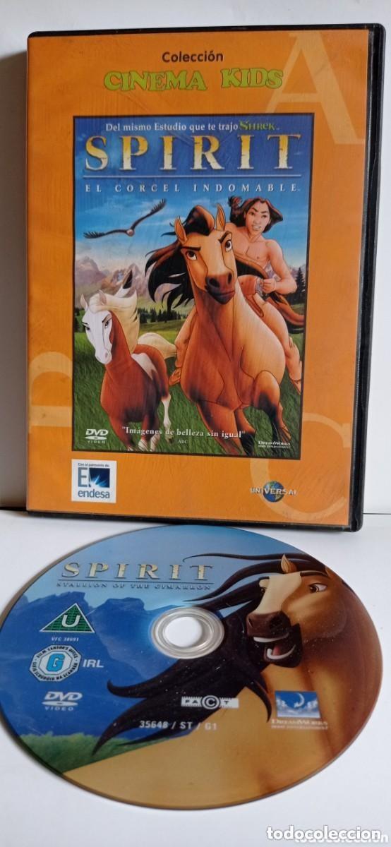Cine: DVD / SPIRIT / EL CORCEL INDOMABLE - Foto 1