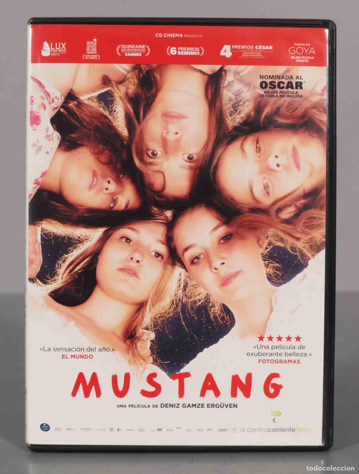 Cin&eacute;ma: DVD. Mustang. Deniz Gamze Erguven.