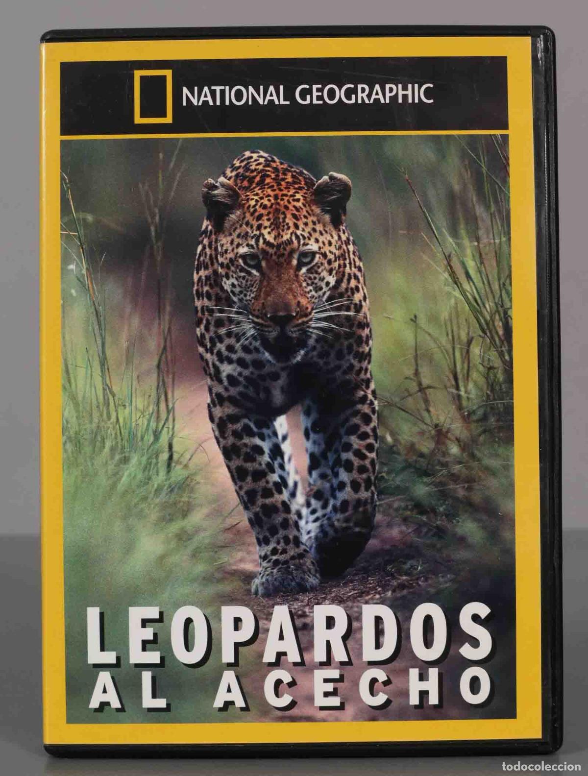 Cinema: DVD. LEOPARDOS AL ACECHO