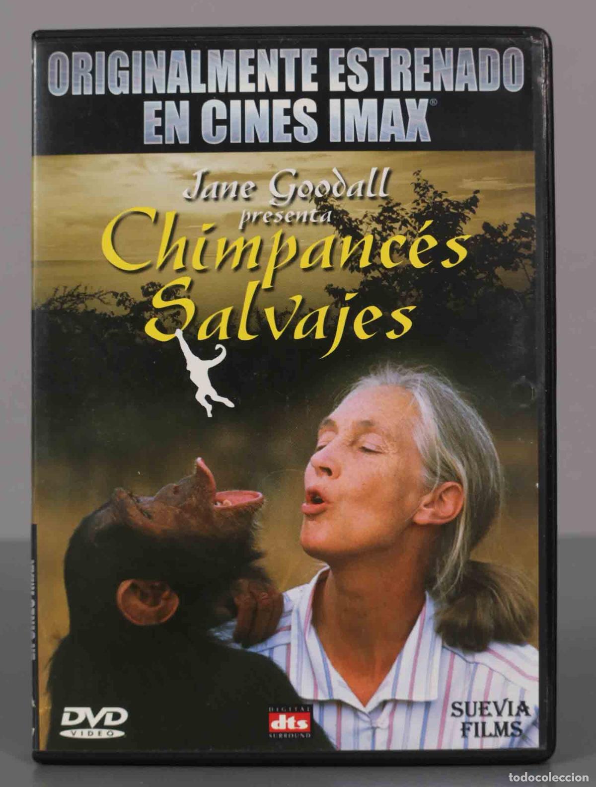 Cinema: DVD. JANE GOODALL presenta CHIMPANCES SALVAJES.