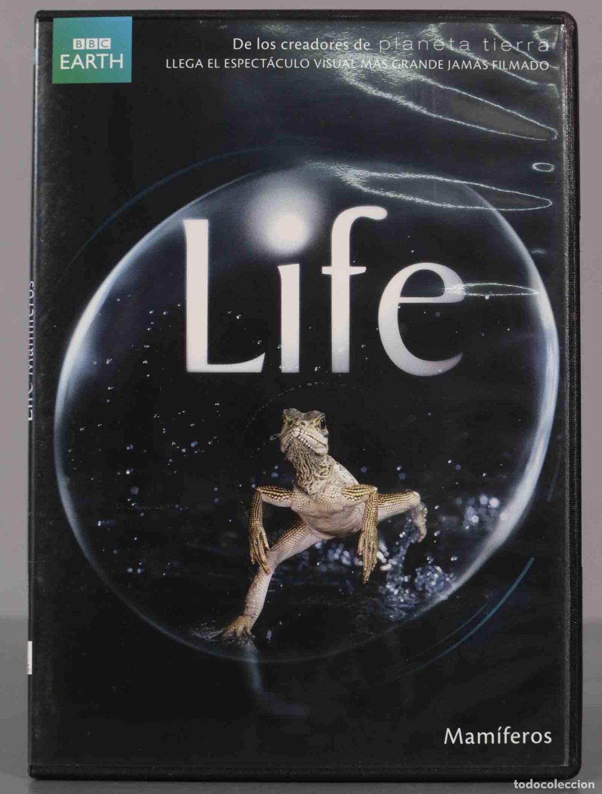 Cinema: DVD. Mam&iacute;feros LIFE BBC