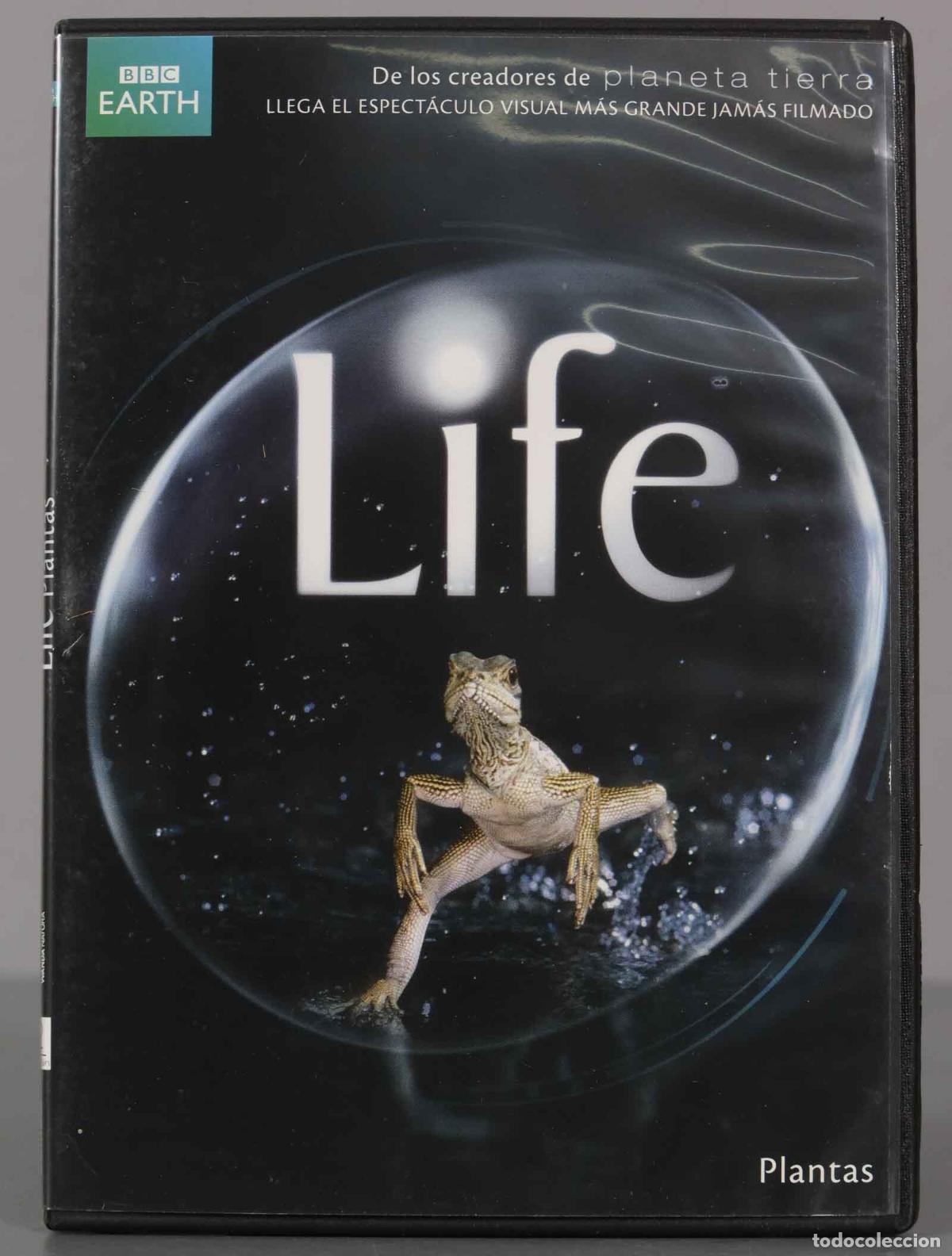 Cinema: DVD. Plantas LIFE BBC