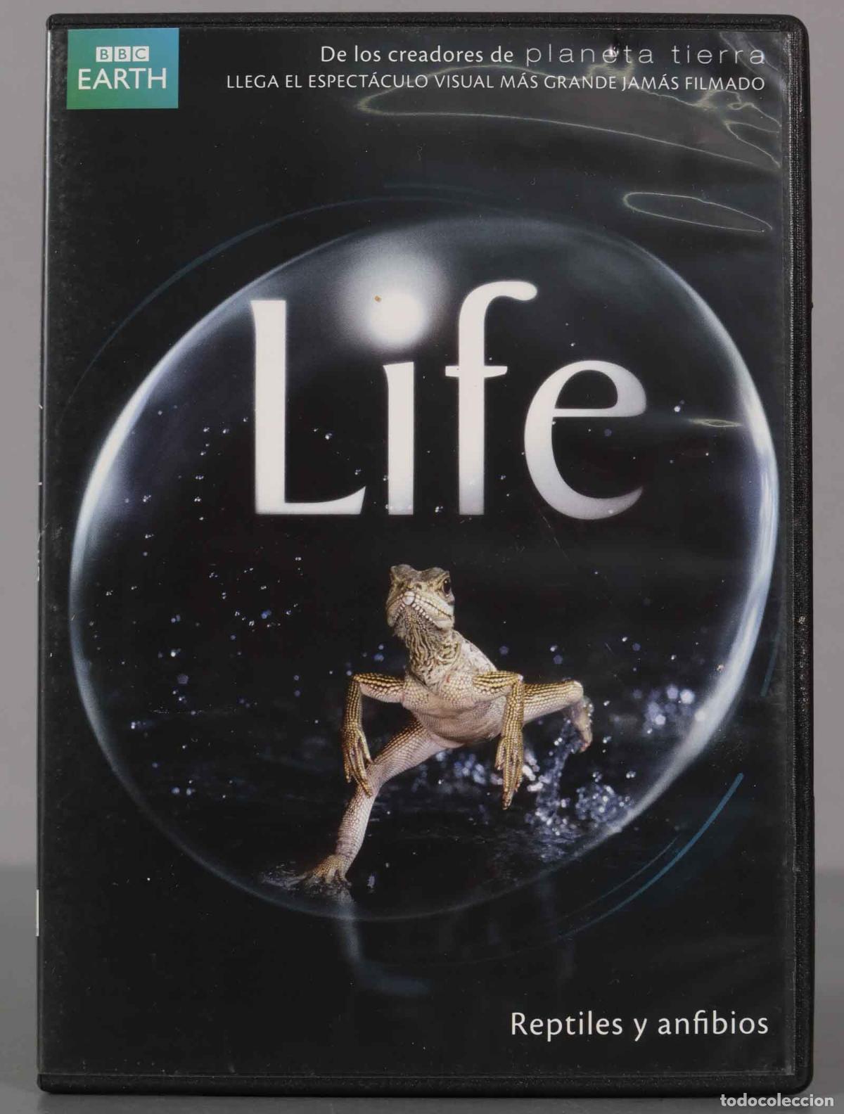 Cinema: DVD. Reptiles y anfibios LIFE