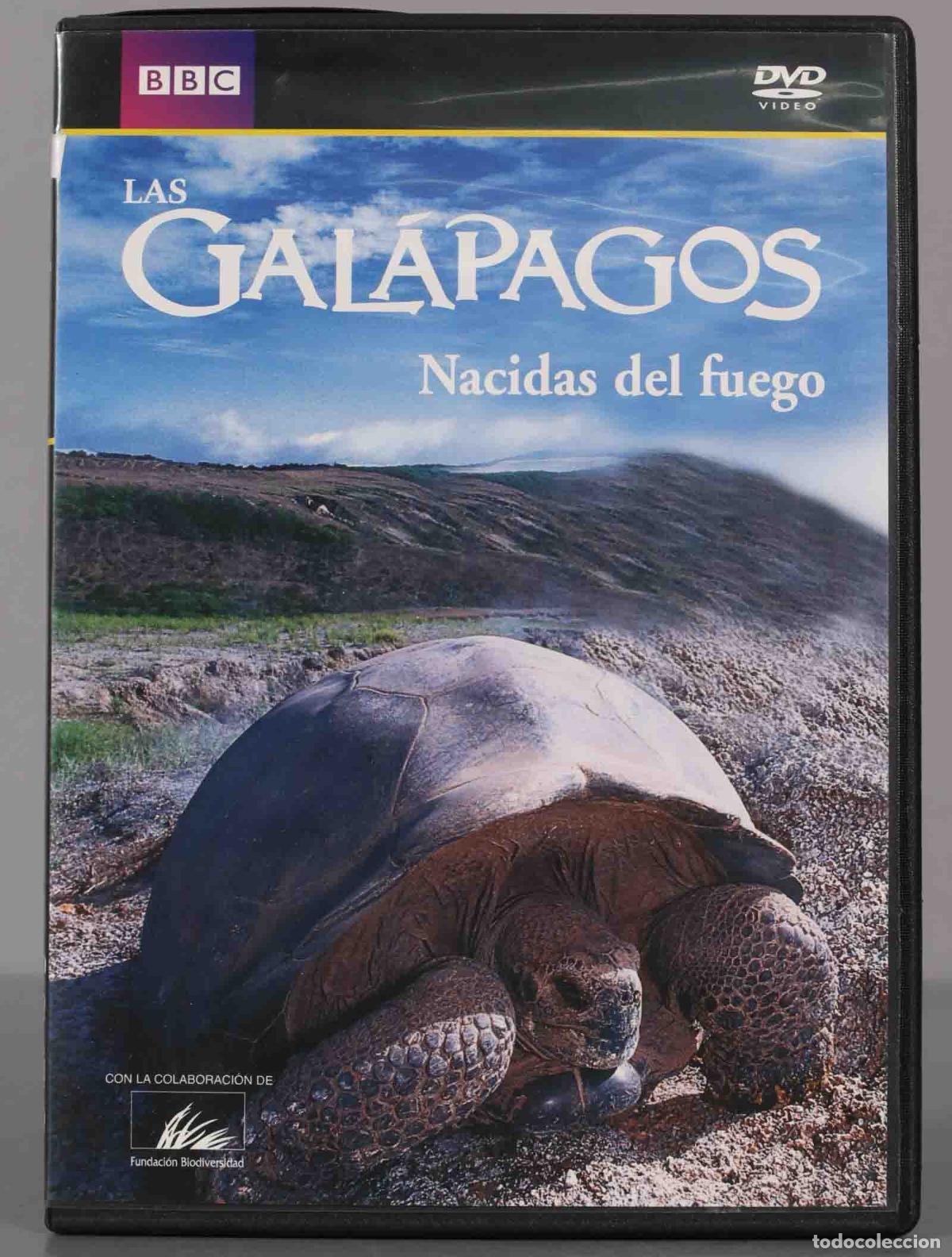 Cinema: DVD. Nacidas del fuego LAS GALAPAGOS