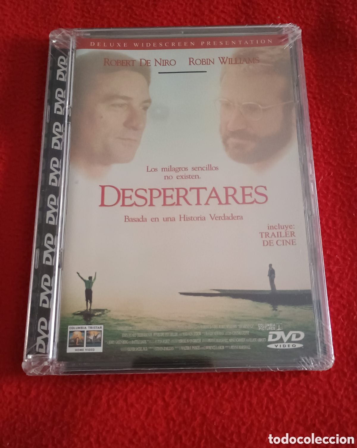 Cine: Dvd despertares (retractilado) - Penny Marshall Robert de niro Robin Williams