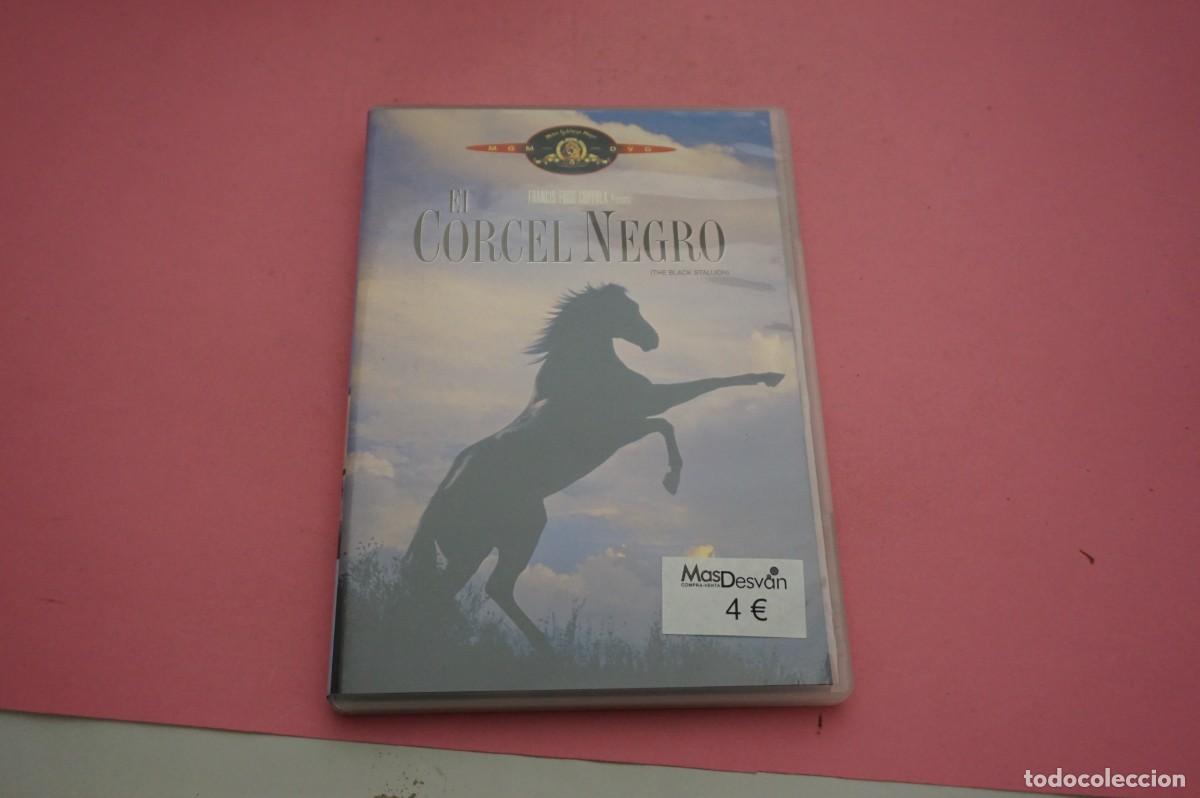 Cin&eacute;ma: 4B1/ DVD - EL CORCEL NEGRO (THE BLACK STALLION)