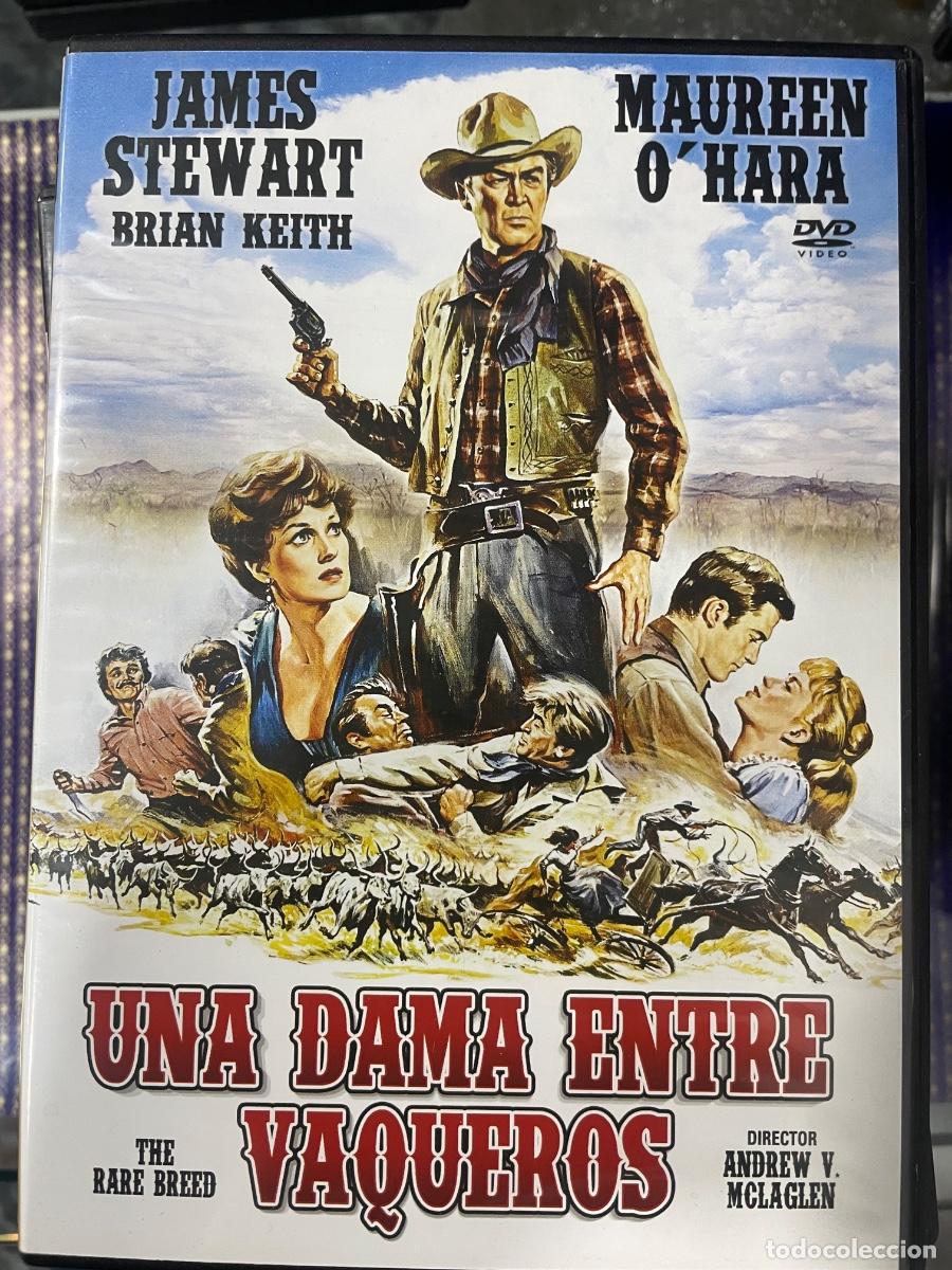 Cinema: Una dama entre vaqueros (DVD)