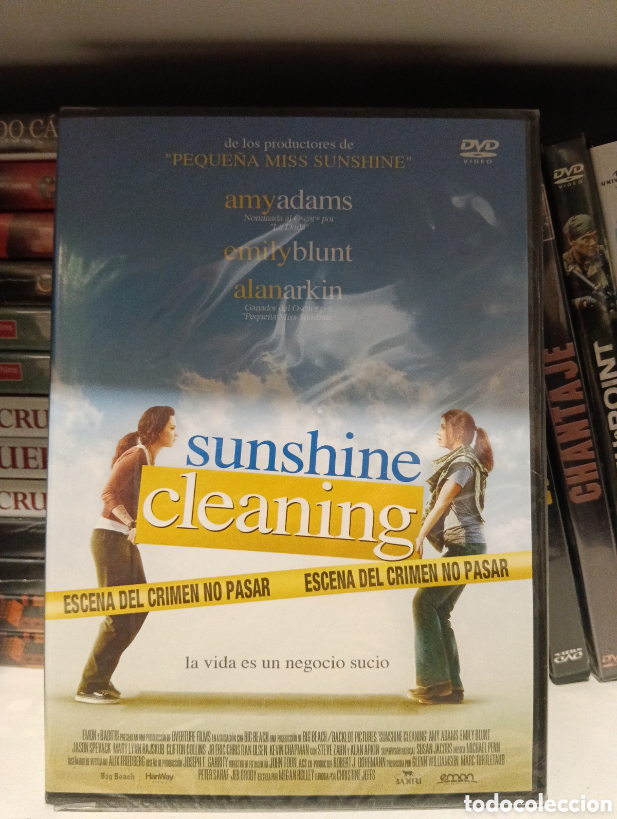 Cine: Sunshine cleaning DVD PRECINTADO