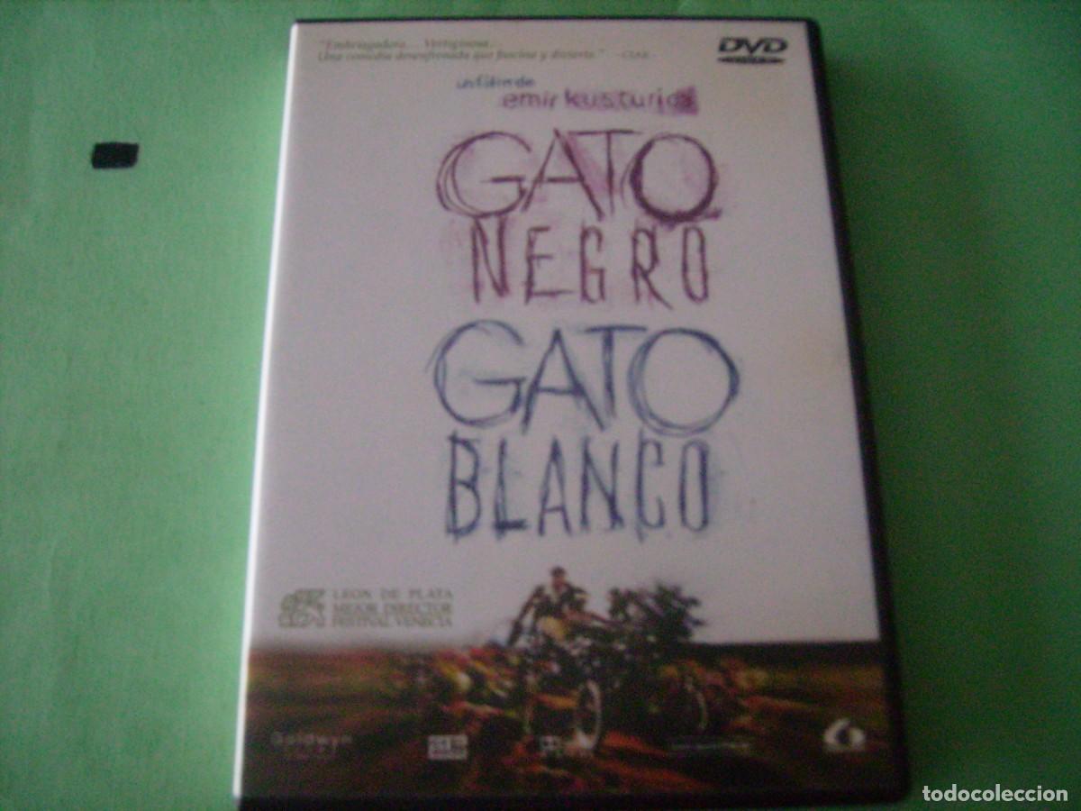 Cinema: GATO NEGRO GATO BLANCO - EMIR KUSTURICA