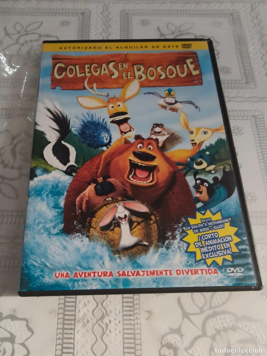 Cine: DVD - COLEGAS EN EL BOSQUE - LEER CONDICIONES DE VENTA - Foto 1