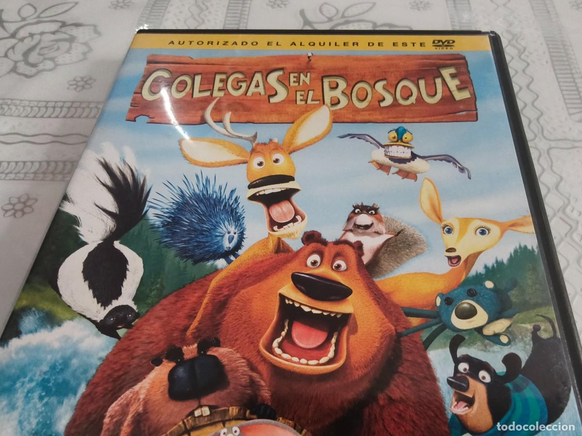 Cine: DVD - COLEGAS EN EL BOSQUE - LEER CONDICIONES DE VENTA - Foto 4