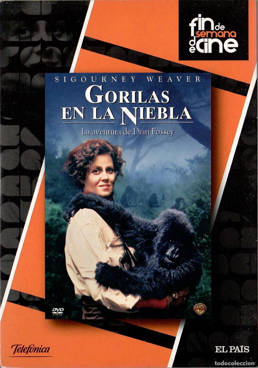 Cine: DVD Gorilas en la niebla - Foto 1