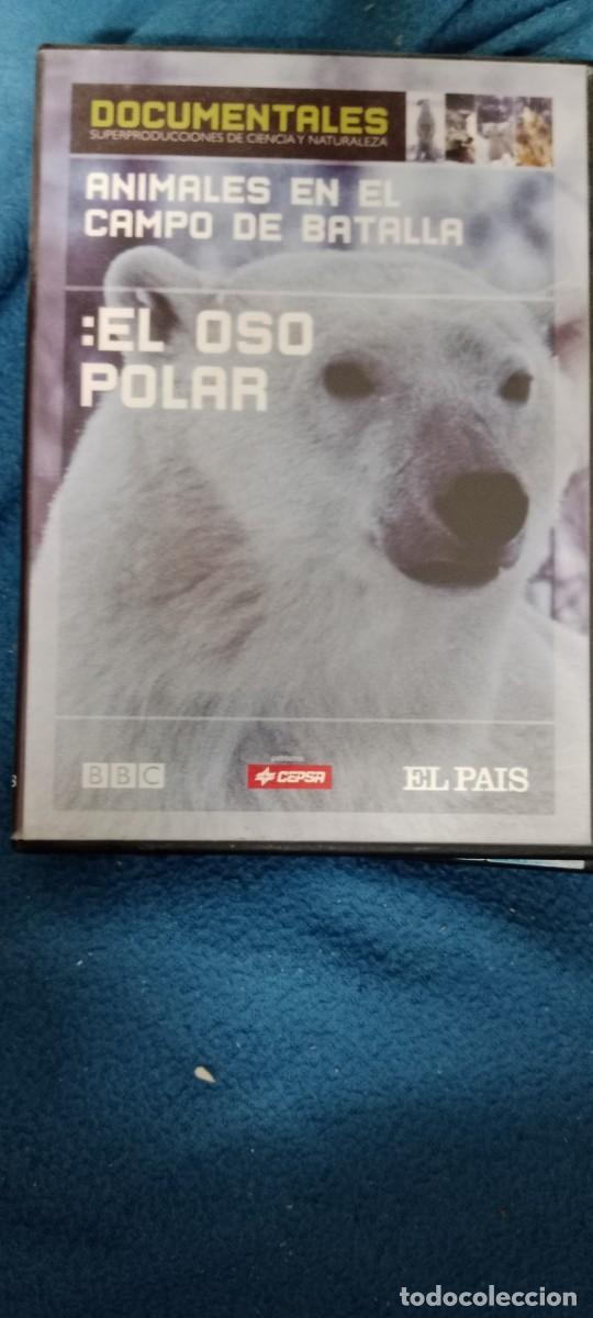 Cinema: EL OSO POLAR CINE DVD G-38