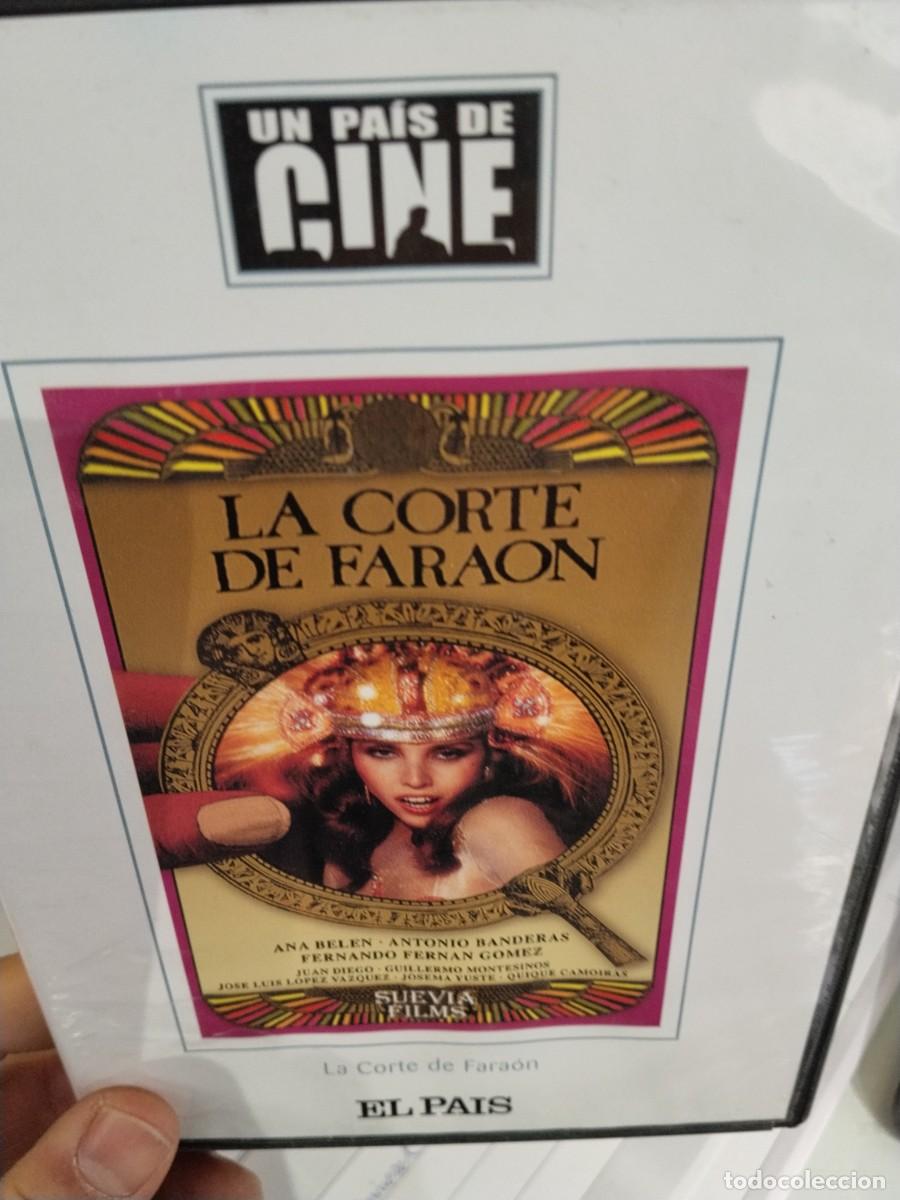 Cinema: DVD La corte del fara&oacute;n