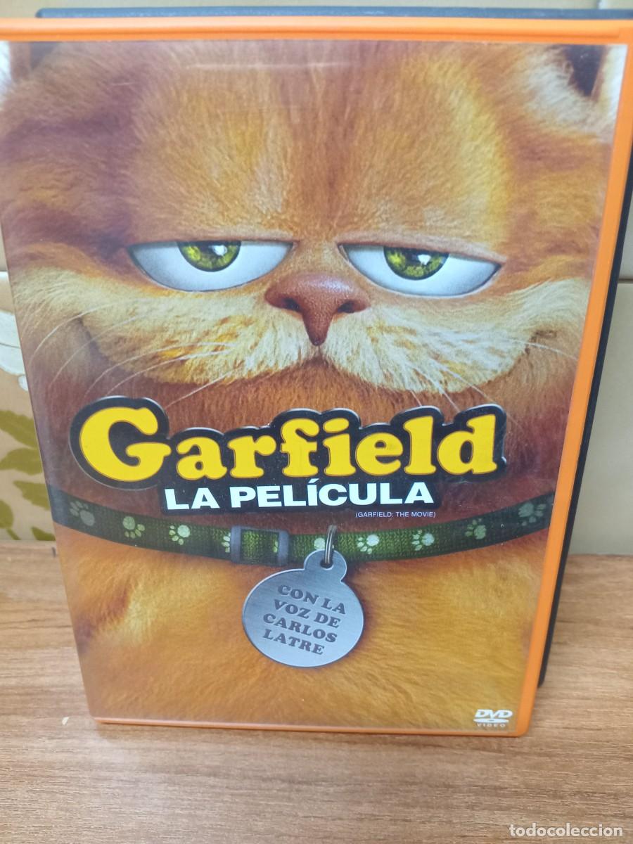 Cine: GARFIELD LA PELICULA - Foto 1